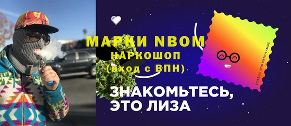 индика Слюдянка
