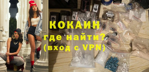 индика Слюдянка