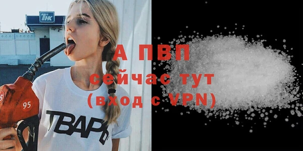индика Слюдянка