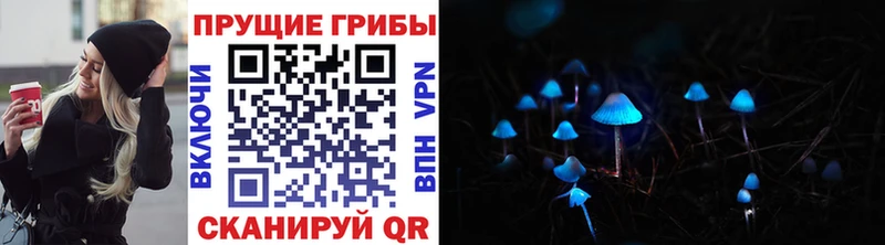 наркота  Микунь  Галлюциногенные грибы Cubensis 